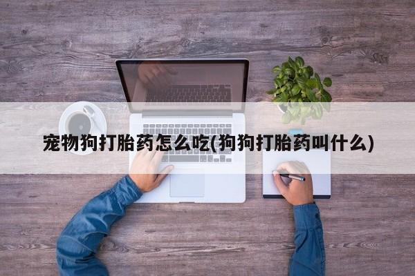 网上卖打胎药微信的联系方式宠物狗打胎药怎么吃(狗狗打胎药叫什么)