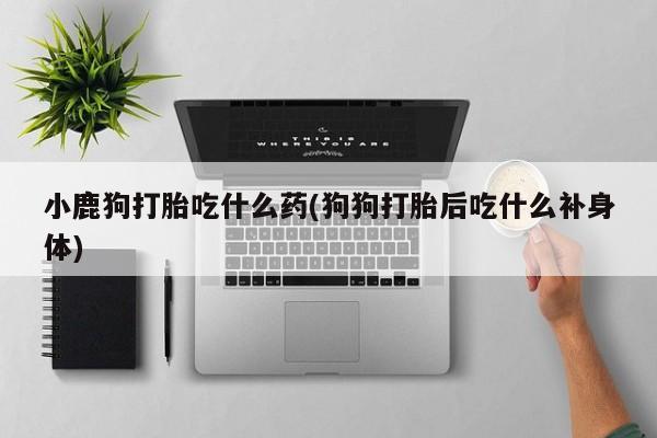 网上卖打胎药微信的联系方式小鹿狗打胎吃什么药(狗狗打胎后吃什么补身体)