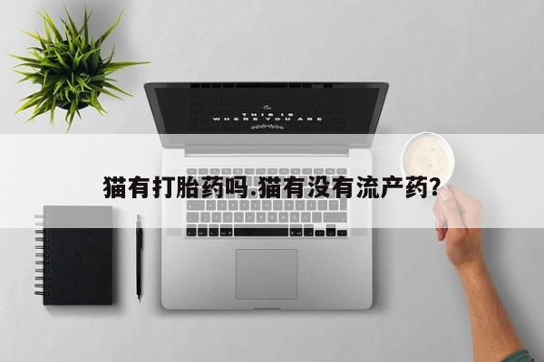 网上卖打胎药微信的联系方式猫有打胎药吗.猫有没有流产药？