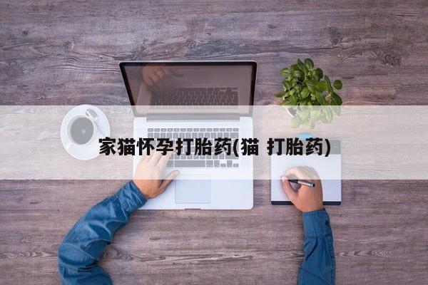 网上卖打胎药微信的联系方式家猫怀孕打胎药(猫 打胎药)